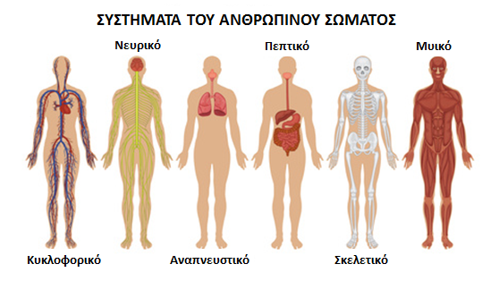 Μάθημα